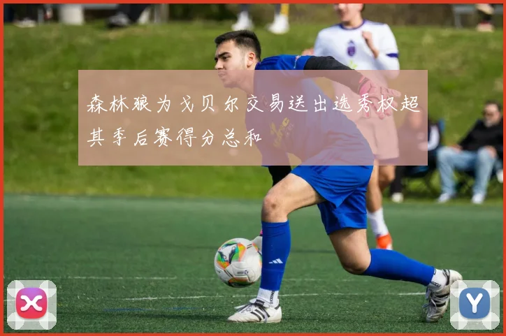 森林狼为戈贝尔交易送出选秀权超其季后赛得分总和