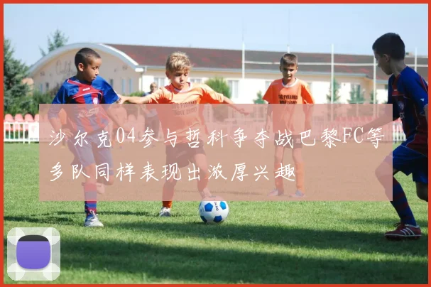 沙尔克04参与哲科争夺战巴黎FC等多队同样表现出浓厚兴趣